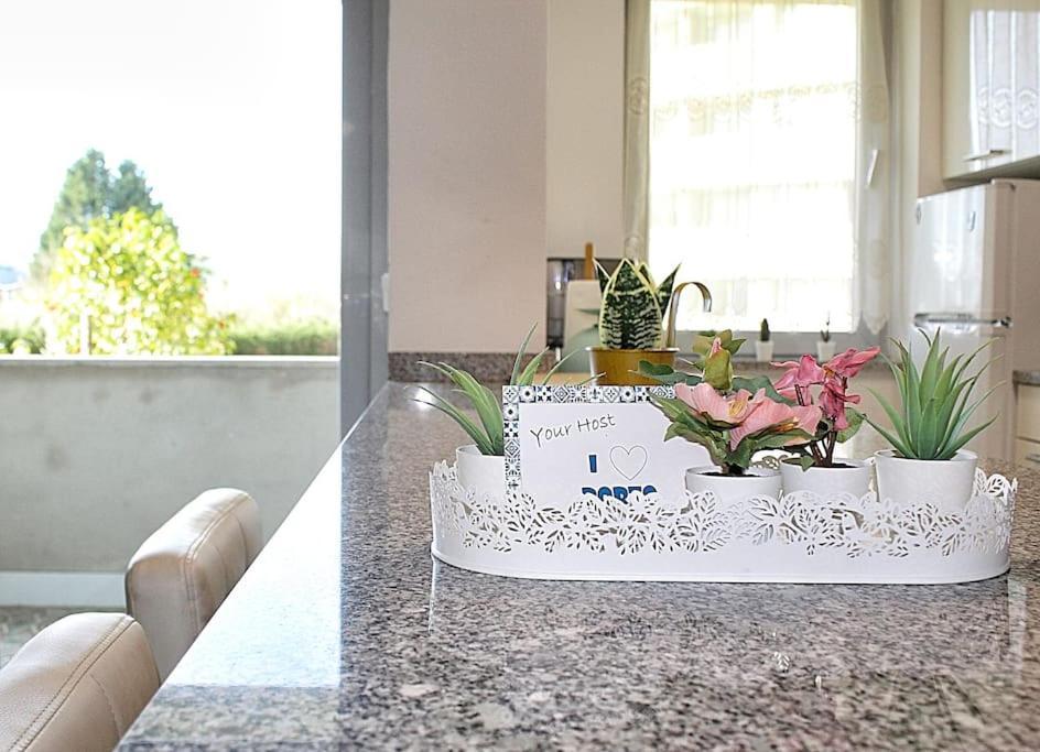 Arrabida Luxury Studio Vila Nova de Gaia Luaran gambar